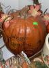 Fall Theme Decor - 7