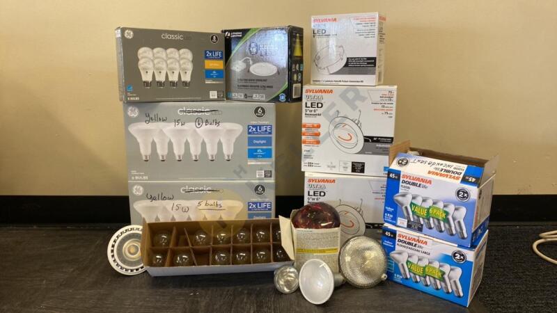 Variety of Light Bulbs and LED Light Fixtures