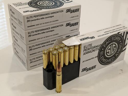 300 HAM'R 125gr Soft Point Ammo