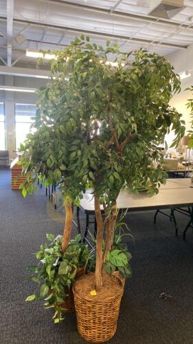 3 Artificial Ficus Trees