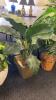 Faux Tropical Plants - 4