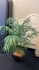 Small Artificial Ficus Tree and Faux Tropical Plants - 2