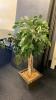 Small Artificial Ficus Tree and Faux Tropical Plants - 4