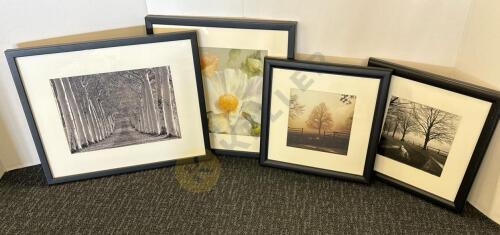 Framed Prints