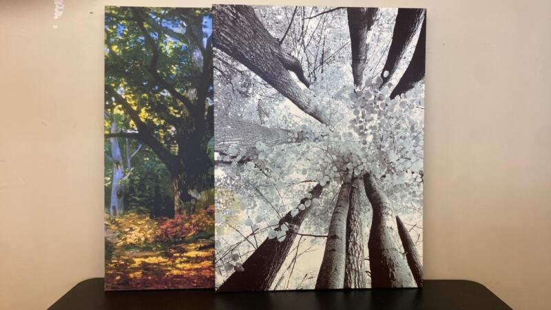 Tree Large Canvas Wall Art