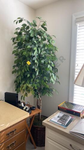 Pair of Artificial Ficus Trees