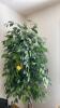 Pair of Artificial Ficus Trees - 3