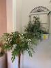 Artificial Plant Decor - 2