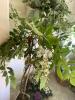 Artificial Plant Decor - 5