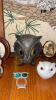 Owl Collection - 5