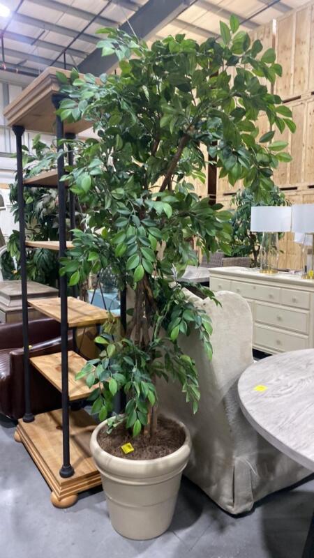 Artificial Ficus Tree with Ceramic Base