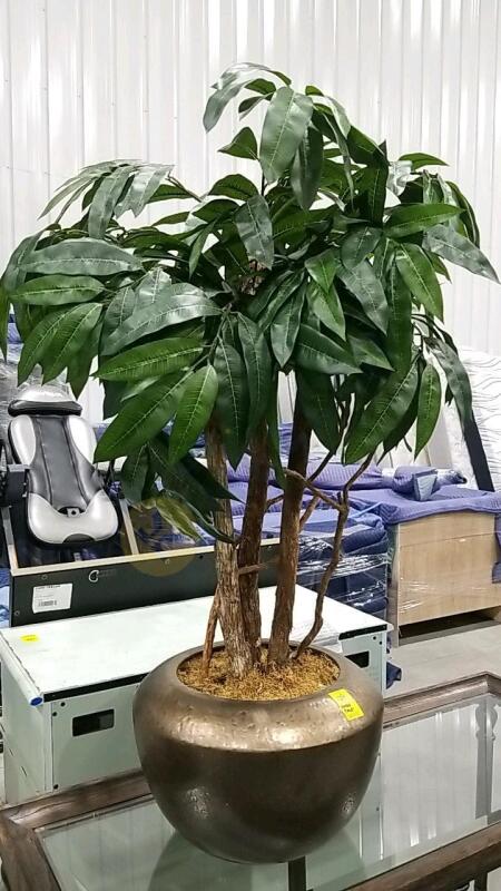 Artificial Ficus