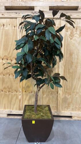 Large Faux Rubber Plant Style Tree