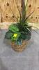 Artificial Ficus Tree with Wicker Basket Base - 2