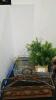 Variety of Artificial Plants and Decor - 4