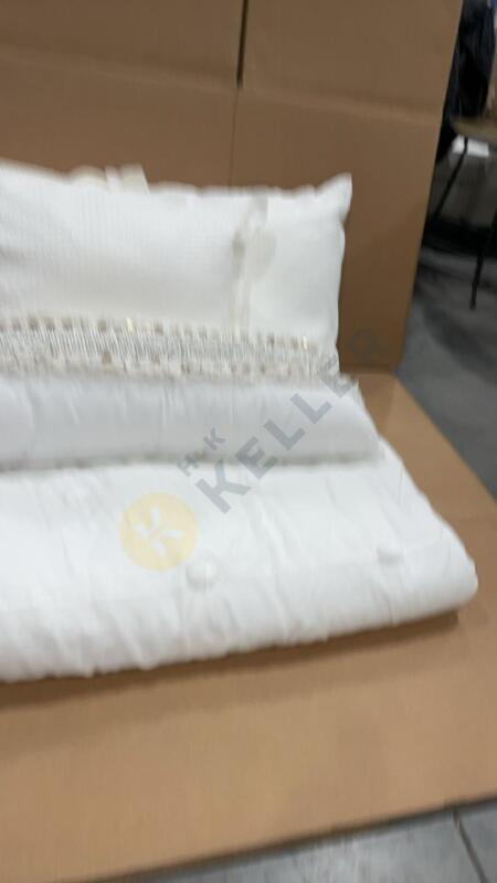 Assorted Bed and Decorative Pillows and PB Teen Comforter