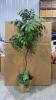 Artificial Ficus Tree with Wicker Basket Base