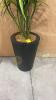 Faux Tropical Plant in Contemporary Vase - 2