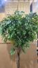 Artificial Ficus Tree with Wicker Basket Base - 3