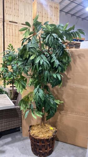 Large Artificial Ficus Tree with Wicker Basket Base