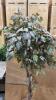 Artificial Ficus Tree with Wicker Basket Base - 3