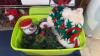 Christmas Decorations and Supplies plus Shelf - 2