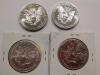 1987, 1988, 1989, and 1990 Eagle Silver Dollar Coins - 2