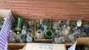 Collection of Glass Bottles and More - 9