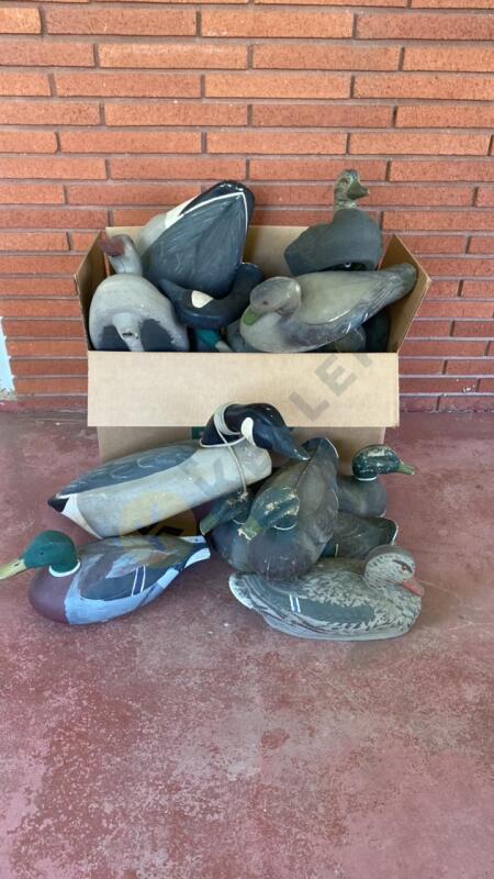 Variety of Water Fowl Decoys