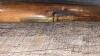 Antique Musket - 7