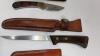 Knife Assortment with Sheaths - 5